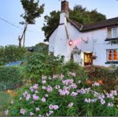 The Northmore Arms Throwleigh Esterno foto